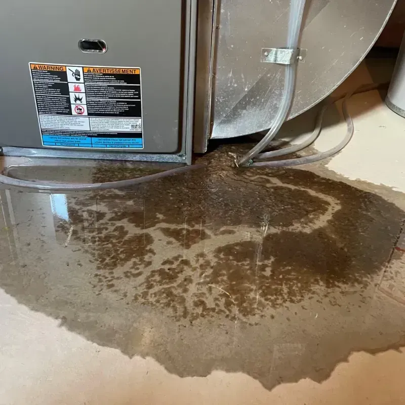 Appliance Leak Cleanup in Royse City, TX